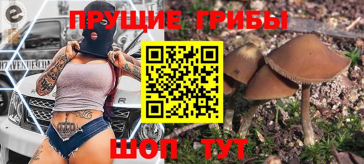сколько стоит  Псилоцибиновые грибы GOLDEN TEACHER  Рубцовск  Вход с VPN  Галлюциногенные грибы MAGIC MUSHROOMS 